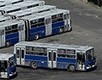BKV járatok a Múzeumok Éjszakáján