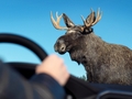A Volvo új biztonsági fejlesztései