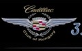 Cadillacek és más Amerikai autók Lajosmizsén