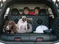A kutyák Nissan X-Trailje