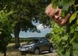 Nissan Juke bemutató és menetpróba videó