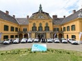 15 magyar olimpikon tokiói felkészülését támogatja a Toyota