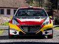 Eladó Loeb Peugeot 208 R5 T16 versenyautója