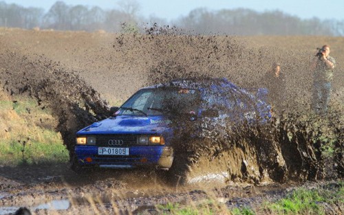 audi-rover