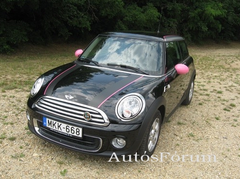rozsaszin-mini