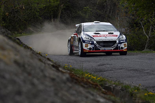 janika-peugeot-208