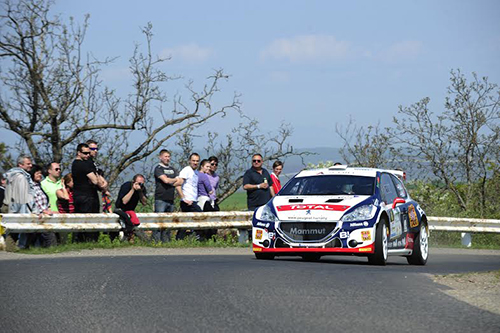 janika-peugeot208