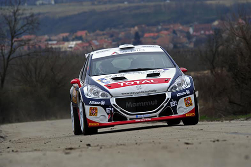 janika-peugeot-208